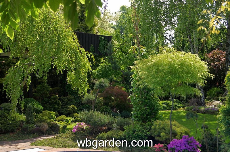 wbgarden spring 72.JPG